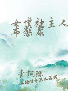 女仆被主人用胶布憋尿