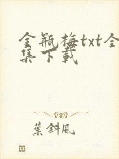 金瓶梅txt全集下载