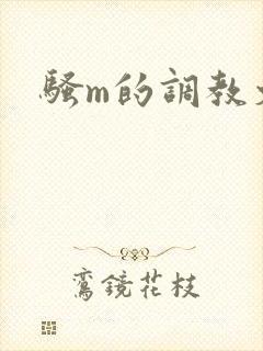 骚m的调教文