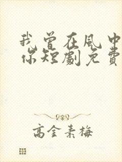 我曾在风中遇到你短剧免费观看