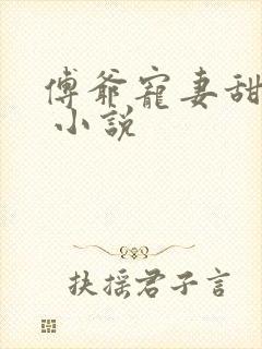 傅爷宠妻甜入骨 小说
