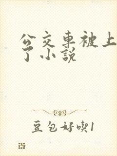 公交车被上高潮了小说