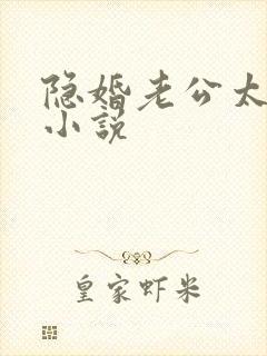 隐婚老公太神秘小说
