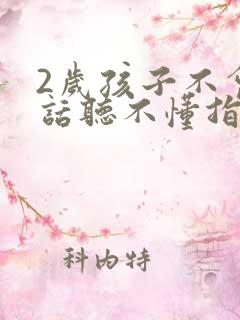2岁孩子不会说话听不懂指令