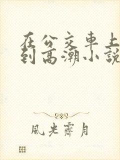 在公交车上被弄到高潮小说