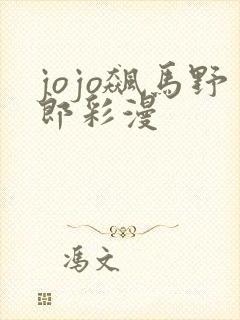 jojo飙马野郎彩漫
