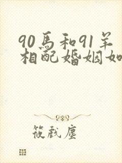 90马和91羊相配婚姻如何