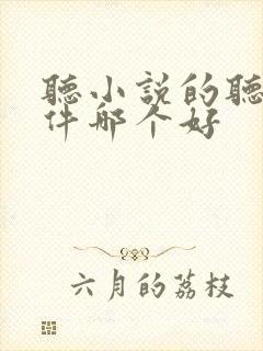 听小说的听书软件哪个好