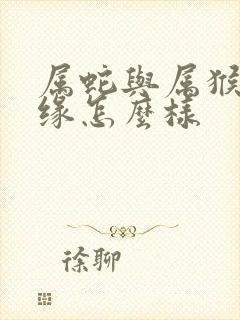 属蛇与属猴的姻缘怎么样