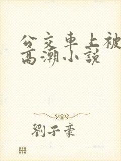 公交车上被插到高潮小说