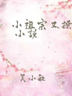 小祖宗又撩又飒 小说