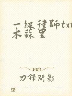 一级律师txt木苏里
