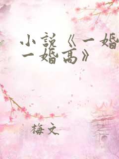 小说《一婚还比一婚高》