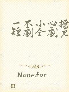 一不小心撩错人短剧全剧免费