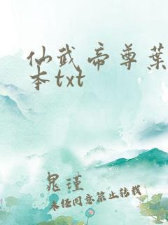 仙武帝尊叶辰全本txt