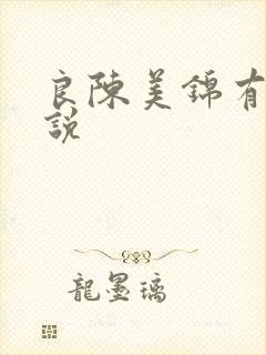 良陈美锦有声小说
