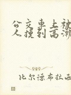 公交车上被陌生人摸到高潮