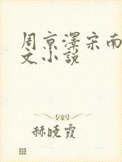 周京泽宋南夕全文小说