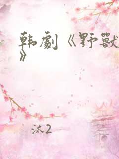 韩剧《野兽风云》