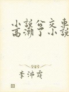 小说公交车被上高潮了小说