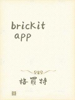 brickit app