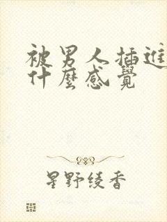 被男人插进去是什么感觉
