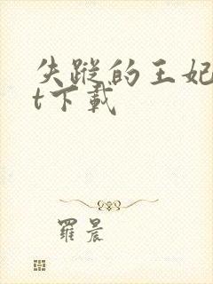 失踪的王妃txt下载