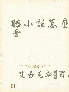 听小说怎么换声音