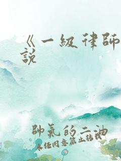 《一级律师》小说