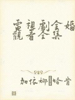 电视剧金婚免费观看全集