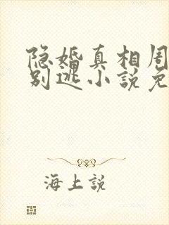 隐婚真相周少你别逃小说免费阅读