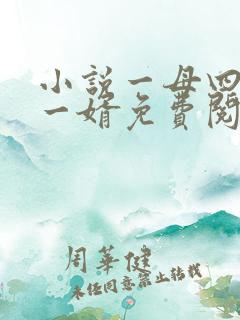 小说一母四女共一婿免费阅读