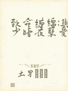 致命缠绵:与冷少暗夜孽爱