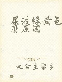 尿液绿黄色是什么原因