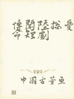 传闻陆总爱我如命短剧