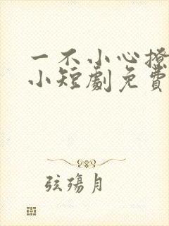 一不小心撩错人小短剧免费看