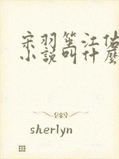 宋羽笙江佑礼的小说叫什么名字