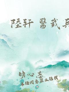 陆轩 医武兵王