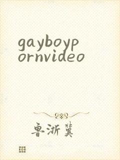 gayboypornvideo