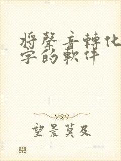 将声音转化成文字的软件