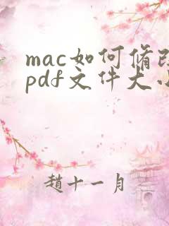 mac如何修改pdf文件大小