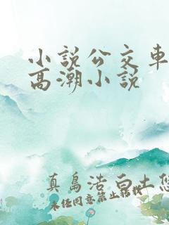 小说公交车被上高潮小说