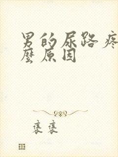 男的尿路疼是什么原因