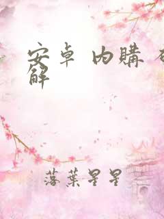 安卓 内购 破解