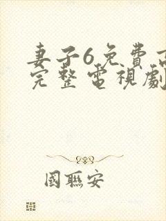 妻子6免费高清完整电视剧情