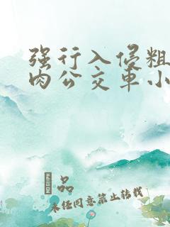 强行入侵粗暴h肉公交车小说