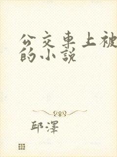 公交车上被插入的小说
