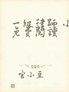 一级律师 小说免费阅读