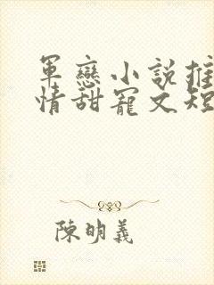 军恋小说推荐言情甜宠文短篇小说