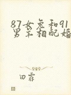 87女兔和91男羊相配婚姻如何